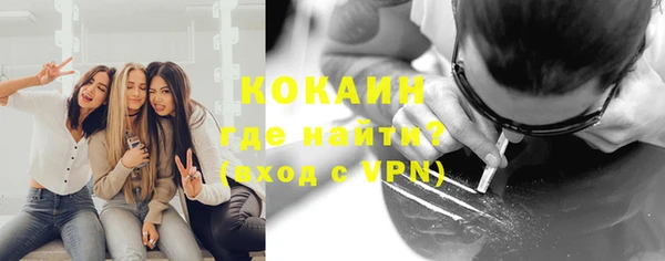 прущие грибы Нефтекумск