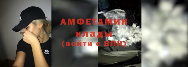 прущие грибы Нефтекумск