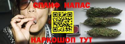 мдпв Гагарин