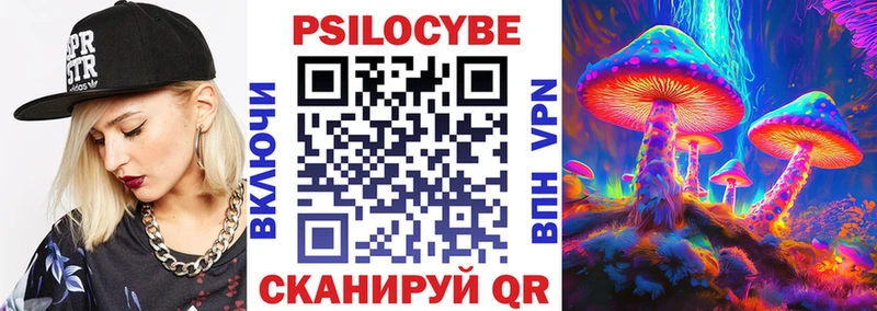 Псилоцибиновые грибы Psilocybe  Алексин 
