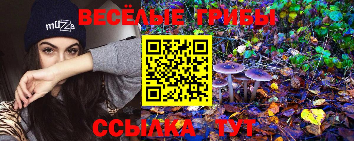 Алексин  Галлюциногенные грибы GOLDEN TEACHER  Псилоцибиновые грибы GOLDEN TEACHER  Вход с VPN 
