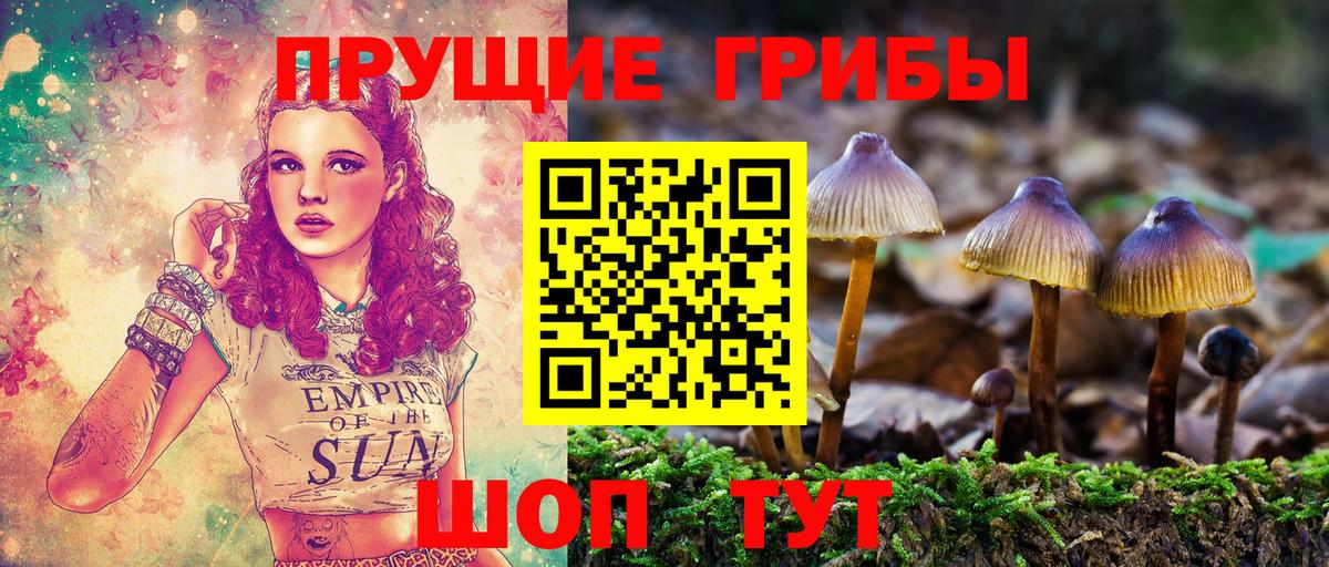 Галлюциногенные грибы Magic Shrooms Алексин